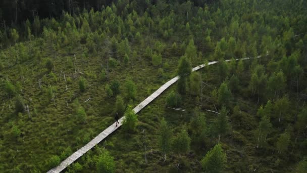 バーストナスの森の中の木道を歩く男の空中スローモーション — ストック動画