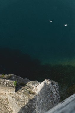 Denizde yüzen iki kuğunun yüksek açılı görüntüsü yüksek bir uçurumdan yakalanmış.