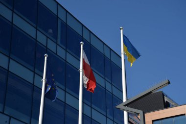 Savaşta Putin 'e Destek ve Karşı İşaret İşareti