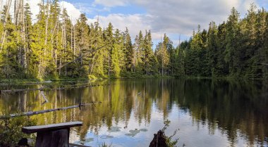 Britanya Kolumbiyası 'nın Deniz-Gökyüzü Koridoru' ndaki çam ağaçlarıyla çevrili huzurlu küçük bir göl manzarası