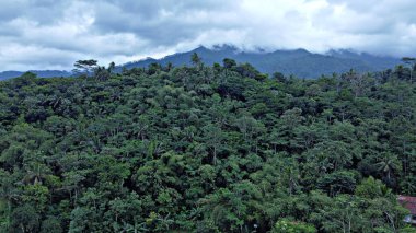 Japon dağı öğleden sonra bulutlarla kaplandı.
