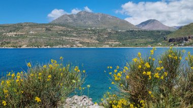 Limeni, Moreloponese, Yunanistan 'da güneşli bir günde ön planda çiçeklerle güzel bir deniz manzarası
