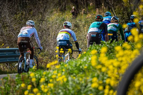 Letní Den Venku Itálii Cyklisty Závodní Silnicích Tirreno Adriatico — Stock fotografie