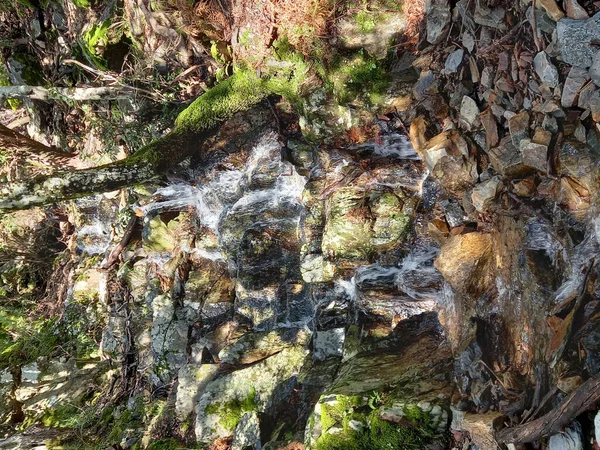 Yosunlu Kayalar Üzerinde Bir Şelalenin Dikey Görüntüsü — Stok fotoğraf