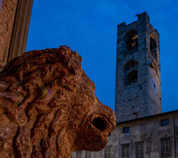 イタリアのベルガモのシビックタワー近くのライオン像の閉鎖 — ストック写真