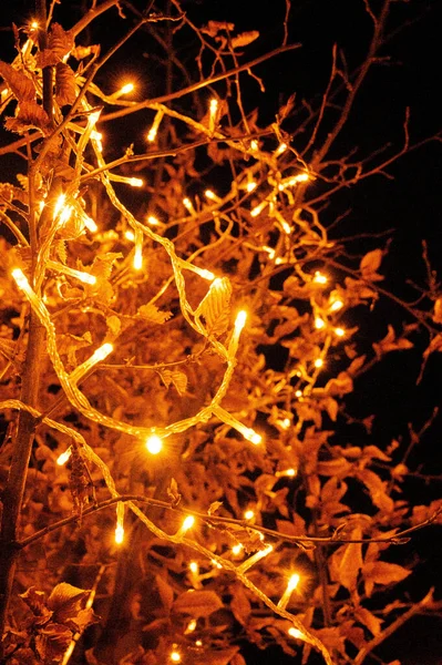 Uma Visão Ângulo Baixo Ornamentos Decorativos Com Luzes Árvore Noite — Fotografia de Stock