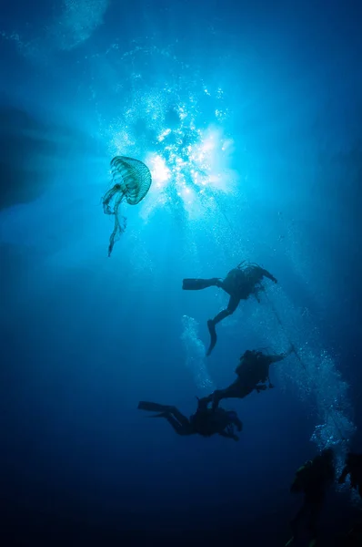 背景に太陽の光を反射して水中のスキューバダイバーやクラゲの垂直ショット — ストック写真