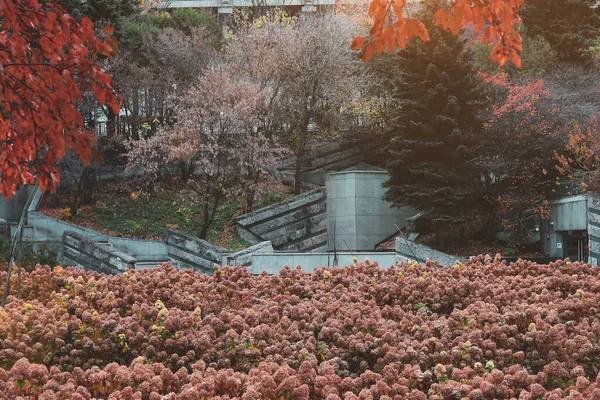 Vacker Park Med Färgglada Träd Och Blommor Förgrunden Hösten — Stockfoto