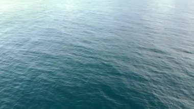 Statik dron görüntüleri, sabahları martılarla okyanusun en üst görüntüsünü gösteriyor..
