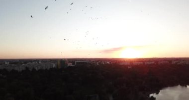 Etrafı yeşilliklerle çevrili bir gölün üzerinde uçan kuşların ve parkta bisiklet süren insanların manzarası.