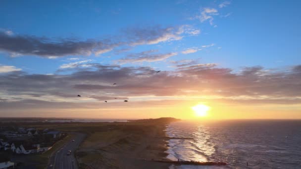 Seagulls Sea Sunrise Bournemouth Beach — Stock Video