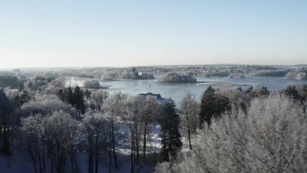 Rallentatore Aereo Uzutrakis Manor Circondato Alberi Ghiacciati Vicino Lago Galve — Video Stock