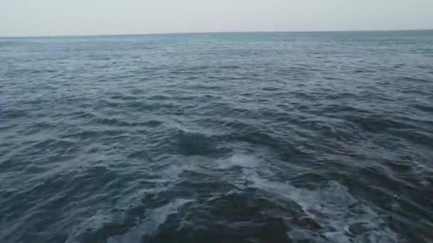 Uma Vista Panorâmica Das Ondas Oceano Batendo Contra Uma Praia — Vídeo de Stock