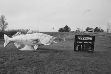Paul Bunyan 'ın yakaladığı dünyanın en büyük Walleye' sine adanmış balık heykeli.
