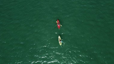 Yeşil su yüzeyindeki iki kanocunun üst görüntüsü..