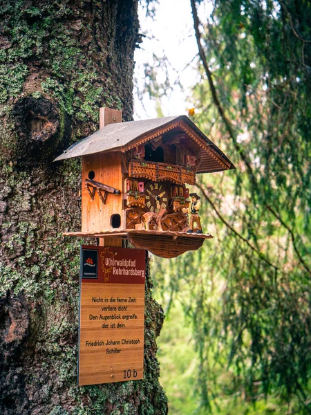 德国森林里一座鸟屋的垂直镜头 — 图库照片
