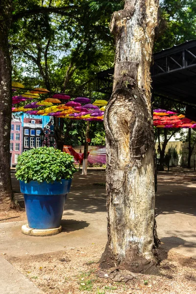 Holambra Sao Paulo Brazilië Maart 2022 Straat Versierd Met Kleurrijke — Stockfoto