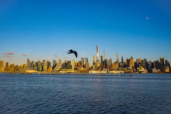 Une Vue Fascinante Sur Ligne Horizon New York Avec Grands — Photo