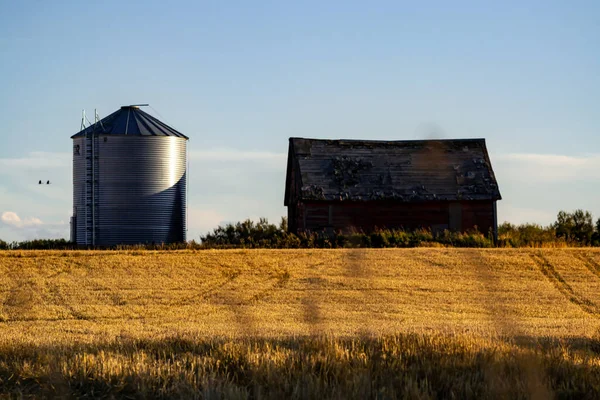 Una Vista Panoramica Piante Essiccate Campo Contro Fienile Silo Una — Foto Stock