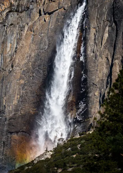 Beautiful Nature Yosemite National Park — Stock Photo, Image