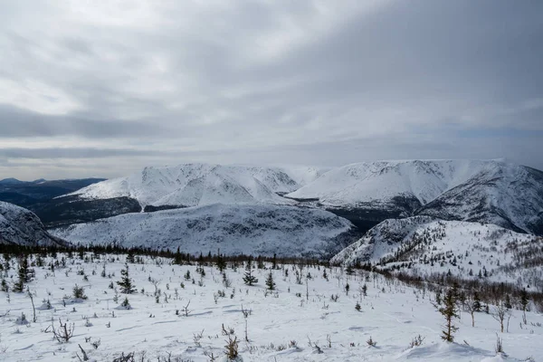 Uma Bela Paisagem Inverno Vale Montanha Floresta Montanhas Cobertas Neve — Fotografia de Stock