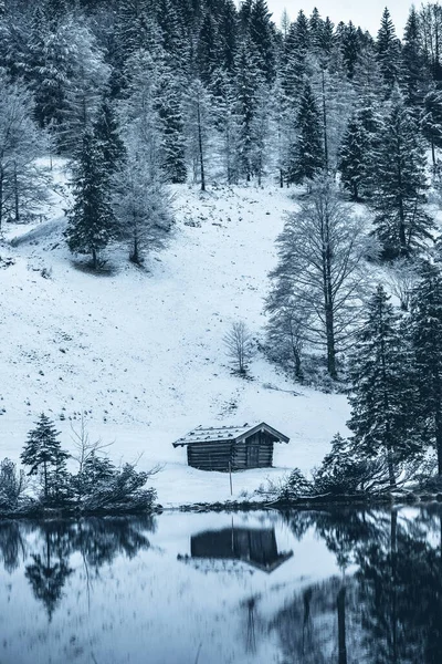 Malý Dřevěný Domek Břehu Jezera Zimním Lese Bavorsku Německo — Stock fotografie