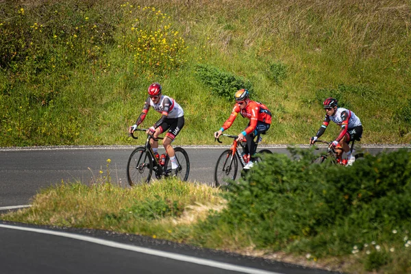 緑豊かな緑に囲まれたティレノ アドリアティコの道路を自転車レースのカップル — ストック写真