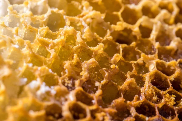 Egy Közeli Felvétel Egy Sárga Méhsejt Felületről — Stock Fotó