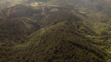 Ukrayna 'daki yeşil orman ve açıklıklarla kaplı Karpat dağlarının hava manzarası.