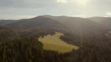 Ukrayna 'daki yeşil orman ve açıklıklarla kaplı Karpat dağlarının hava manzarası.