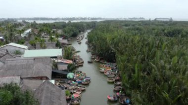 Hoi An, Vietnam 'daki Mau Körfezi Hindistan cevizi ormanının havadan görünüşü.