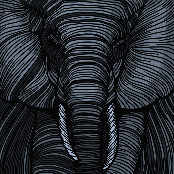 Vector Design Background Elephant Detail Dark Sketch Lines — Stock Vector