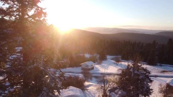 Krásný Záběr Krajinu Pokrytou Sněhem Zimě — Stock video