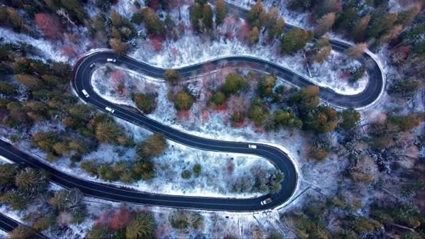 Αεροφωτογραφία Ενός Στροβιλισμένου Αυτοκινητόδρομου Που Περιβάλλεται Από Δέντρα Χειμώνα — Αρχείο Βίντεο