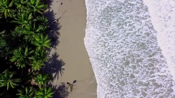 Trinidad Daki Yara Sahilinin Insansız Hava Aracı Görüntüleri — Stok video