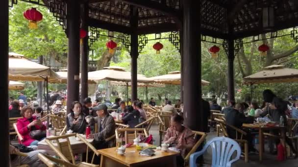 Άνθρωποι Πίνουν Τσάι Στο Πάρκο People Την Άνοιξη — Αρχείο Βίντεο