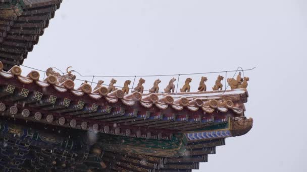 Salón Con Legendaria Decoración Bestia Alero Nieve Ciudad Prohibida China — Vídeos de Stock
