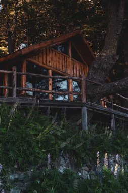 Vahşi doğada güzel ve rahat bir ağaç evin dikey görüntüsü manzaralı.