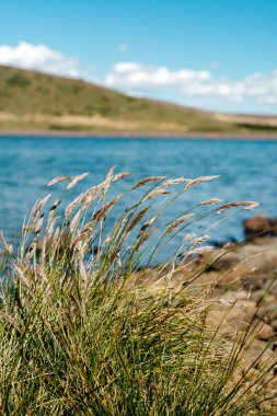 Güneşli bir günde dağların yakınındaki güzel bir gölün dikey görüntüsü.
