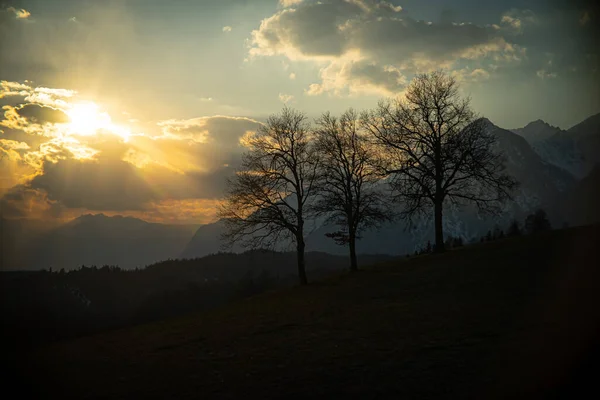 Silhouette Trees Hill Bright Sunset Background — Stock Photo, Image