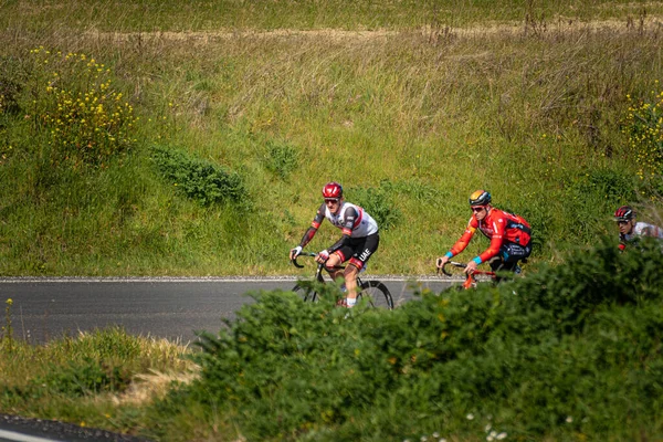 在意大利的地拉那 阿德里安蒂科 有几个骑自行车的人在绿树成荫的环境中赛跑 — 图库照片