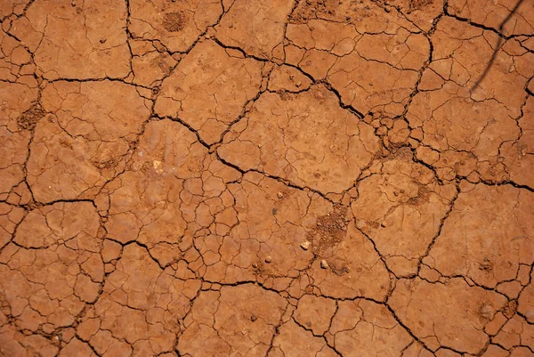 Closeup Cracked Dry Earth Texture — Stock Photo, Image