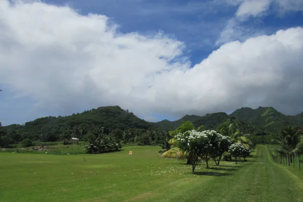 Widok Zielone Góry Tropikalne Rarotonga Krajobrazy Lasów Deszczowych Krajobrazy — Zdjęcie stockowe