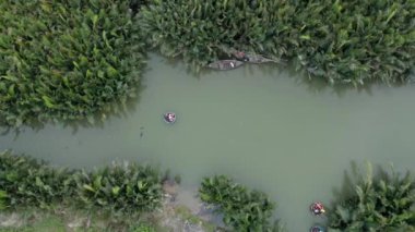 Hoi An, Vietnam 'daki Mau Körfezi Hindistan cevizi ormanının havadan görünüşü.