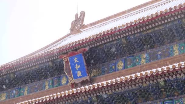 Κοντινό Πλάνο Της Αυτοκρατορικής Αίθουσας Στέκεται Βαρύ Χιόνι Απαγορευμένη Πόλη — Αρχείο Βίντεο