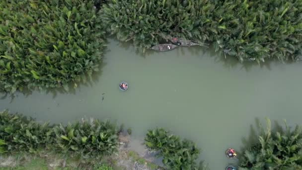 มมองทางอากาศของป ามะพร าวน Bay Mau ในฮอยอ นในเว ยดนาม — วีดีโอสต็อก