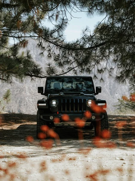 Dağlardaki Siyah Bir Jeep Gladyatörünün Dikey Görüntüsü — Stok fotoğraf