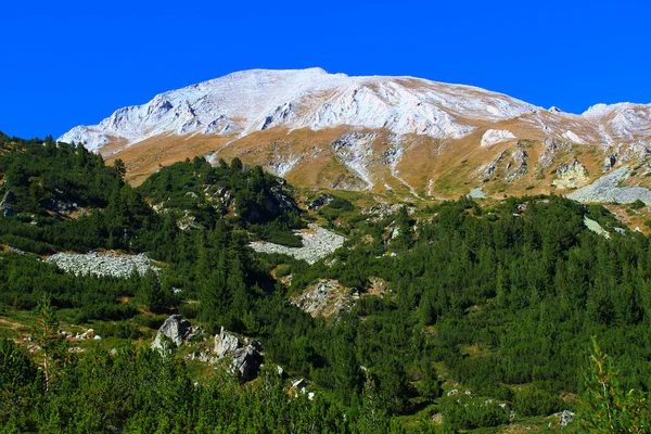 ブルガリアのピリン国立公園の美しい山岳風景の魅惑的な景色 — ストック写真
