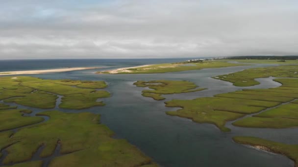 Een Luchtfoto Van Grote Moerassen Cape Cod Massachusetts — Stockvideo