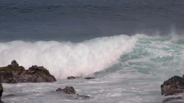 Brandungswellen Der Kueste Der Osterinsel Rapa Nui Slo Motion — Video